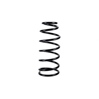 Ressort de suspension ZentParts [Z38318]