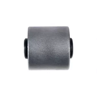 ZentParts Z43357 - Suspension, bras de liaison arrière droit