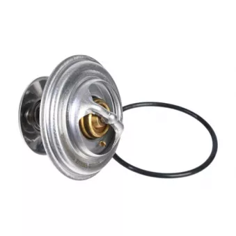 ZentParts Z45558 - Thermostat, liquide de refroidissement
