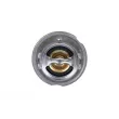 ZentParts Z45570 - Thermostat, liquide de refroidissement