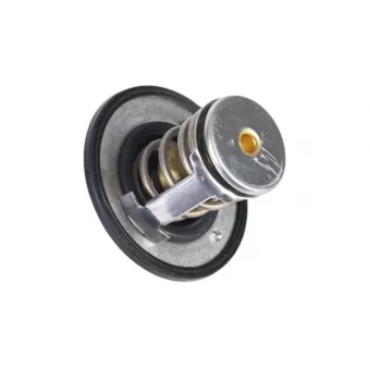 ZentParts Z45575 - Thermostat, liquide de refroidissement