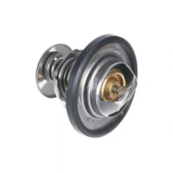 ZentParts Z45592 - Thermostat, liquide de refroidissement