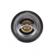 ZentParts Z45592 - Thermostat, liquide de refroidissement