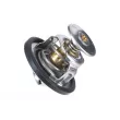 ZentParts Z45592 - Thermostat, liquide de refroidissement