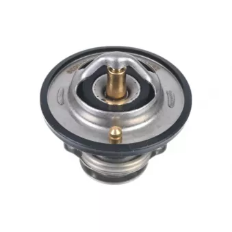ZentParts Z45616 - Thermostat, liquide de refroidissement