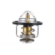 ZentParts Z45616 - Thermostat, liquide de refroidissement