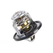 ZentParts Z45616 - Thermostat, liquide de refroidissement