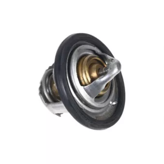 ZentParts Z45625 - Thermostat, liquide de refroidissement