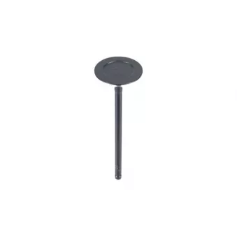 ZentParts Z71435 - Soupape d'admission