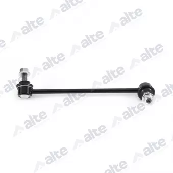ALTE AUTOMOTIVE 101357ECAL - Entretoise/tige, stabilisateur
