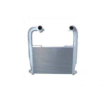 Intercooler, échangeur NRF OEM 1899859