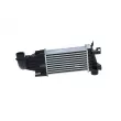 NRF 30258 - Intercooler, échangeur