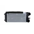 NRF 30324 - Intercooler, échangeur