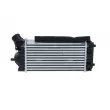 NRF 30324 - Intercooler, échangeur