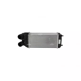 NRF 30460 - Intercooler, échangeur
