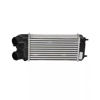 Intercooler, échangeur NRF 30473 pour PEUGEOT 207 1.6 16V Turbo - 150cv