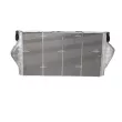 NRF 30893 - Intercooler, échangeur