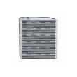 NRF 36177 - Évaporateur climatisation