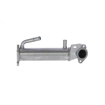 Radiateur, réaspiration des gaz d'échappement NRF OEM 1807897