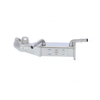 Radiateur, réaspiration des gaz d'échappement NRF 48351 pour FORD TRANSIT 2.2 TDCi - 155cv