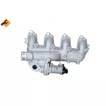 Module-EGR NRF OEM 1352475