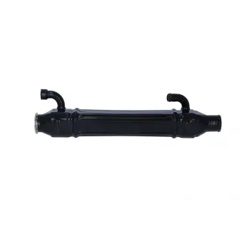 Radiateur, réaspiration des gaz d'échappement NRF OEM 2074600