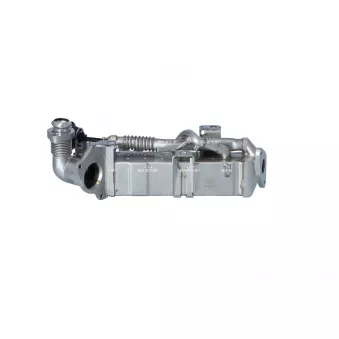 Radiateur, réaspiration des gaz d'échappement NRF OEM 04510628