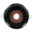 Poulie renvoi/transmission, courroie trapézoïdale à nervures Litens [900027]