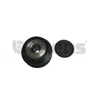 Poulie roue libre, alternateur Litens 920035 pour TOYOTA AURIS 1.3 - 99cv