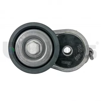 Tendeur de courroie, courroie trapézoïdale à nervures Litens 950489 pour AUDI TT 3.2 V6 quattro - 250cv