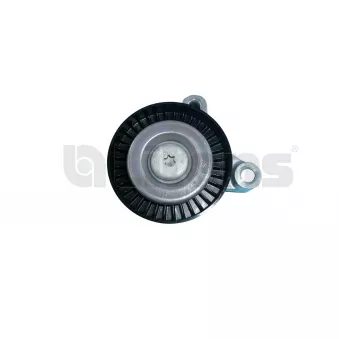 Litens 951841 - Poulie renvoi/transmission, courroie trapézoïdale à nervures