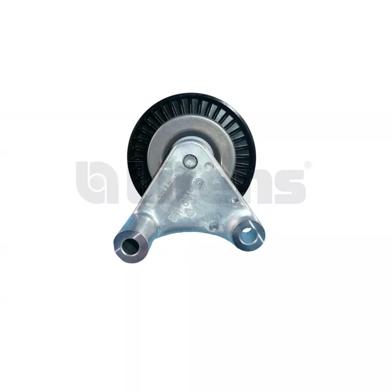 Poulie renvoi/transmission, courroie trapézoïdale à nervures Litens 951841 - Visuel 1