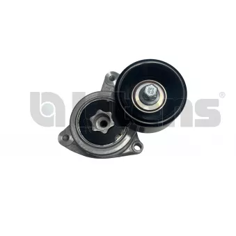 Tendeur de courroie, courroie trapézoïdale à nervures Litens 999661 pour ROVER 75 2.0 - 150cv
