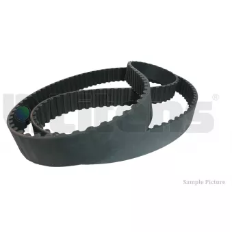 Litens LT0431 - Courroie crantée
