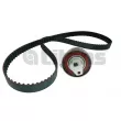 Kit de courroie crantée Litens [LT979311A]