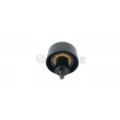 Litens LTW979341A - Pompe à eau + kit de courroie crantée