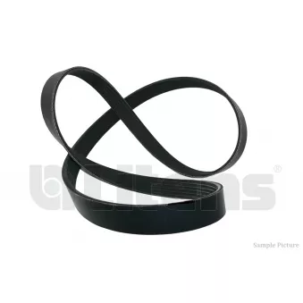 Courroie trapézoïdale à nervures Litens [LV6PK1250]