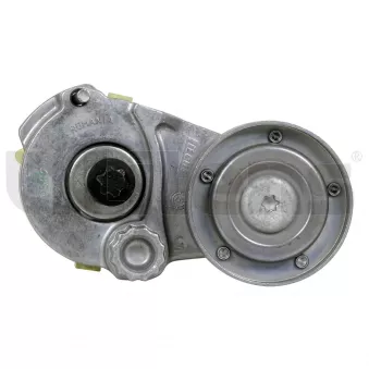 Jeu de courroies trapézoïdales à nervures Litens [LV950210A]