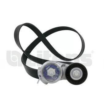 Jeu de courroies trapézoïdales à nervures Litens [LV999513A]