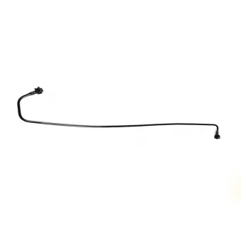 WINTECH AUTO WIN0500278 - Durite de radiateur