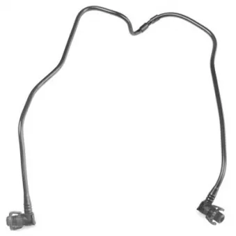 WINTECH AUTO WIN0500296 - Durite de radiateur