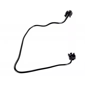 WINTECH AUTO WIN0500330 - Durite de radiateur