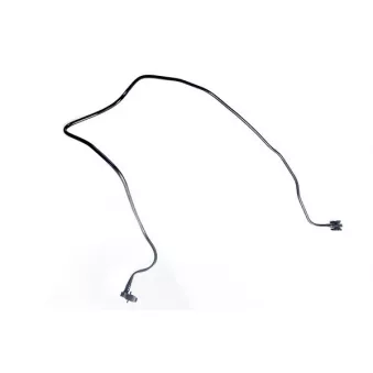 WINTECH AUTO WIN0500337 - Durite de radiateur