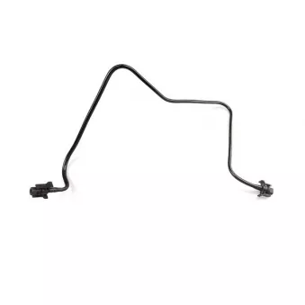 WINTECH AUTO WIN0500339 - Durite de radiateur