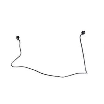 WINTECH AUTO WIN0500346 - Durite de radiateur