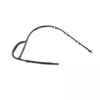 WINTECH AUTO WIN0500350 - Tuyau, carburant de fuite