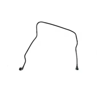 WINTECH AUTO WIN0500460 - Durite de radiateur