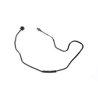 WINTECH AUTO WIN0500464 - Durite de radiateur