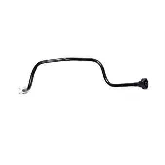 WINTECH AUTO WIN0500734 - Durite de radiateur