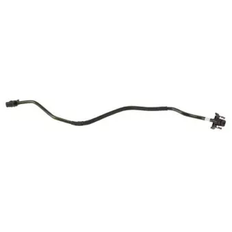 WINTECH AUTO WIN0500907 - Durite de radiateur